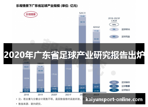 2020年广东省足球产业研究报告出炉